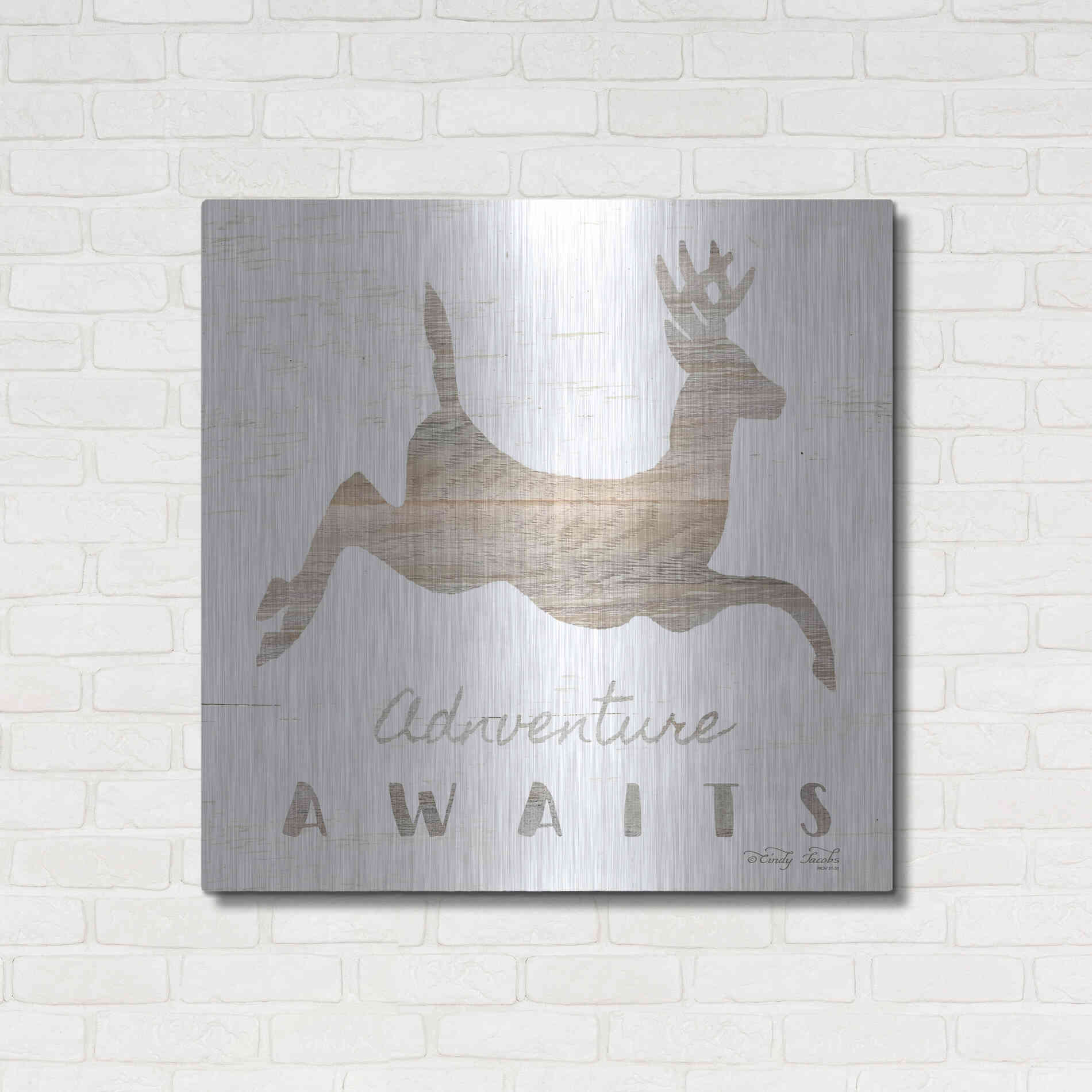 Luxe Metal Art 'Adventure Awaits Deer' by Cindy Jacobs, Metal Wall Art,36x36