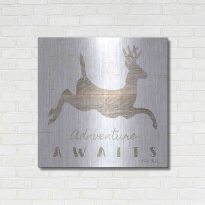Luxe Metal Art 'Adventure Awaits Deer' by Cindy Jacobs, Metal Wall Art,36x36