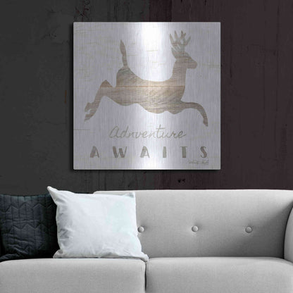 Luxe Metal Art 'Adventure Awaits Deer' by Cindy Jacobs, Metal Wall Art,36x36