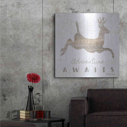 Luxe Metal Art 'Adventure Awaits Deer' by Cindy Jacobs, Metal Wall Art,36x36