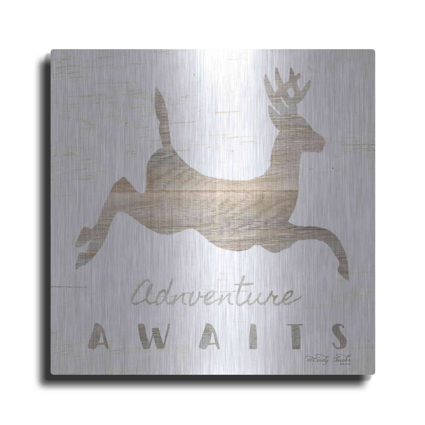 Luxe Metal Art 'Adventure Awaits Deer' by Cindy Jacobs, Metal Wall Art