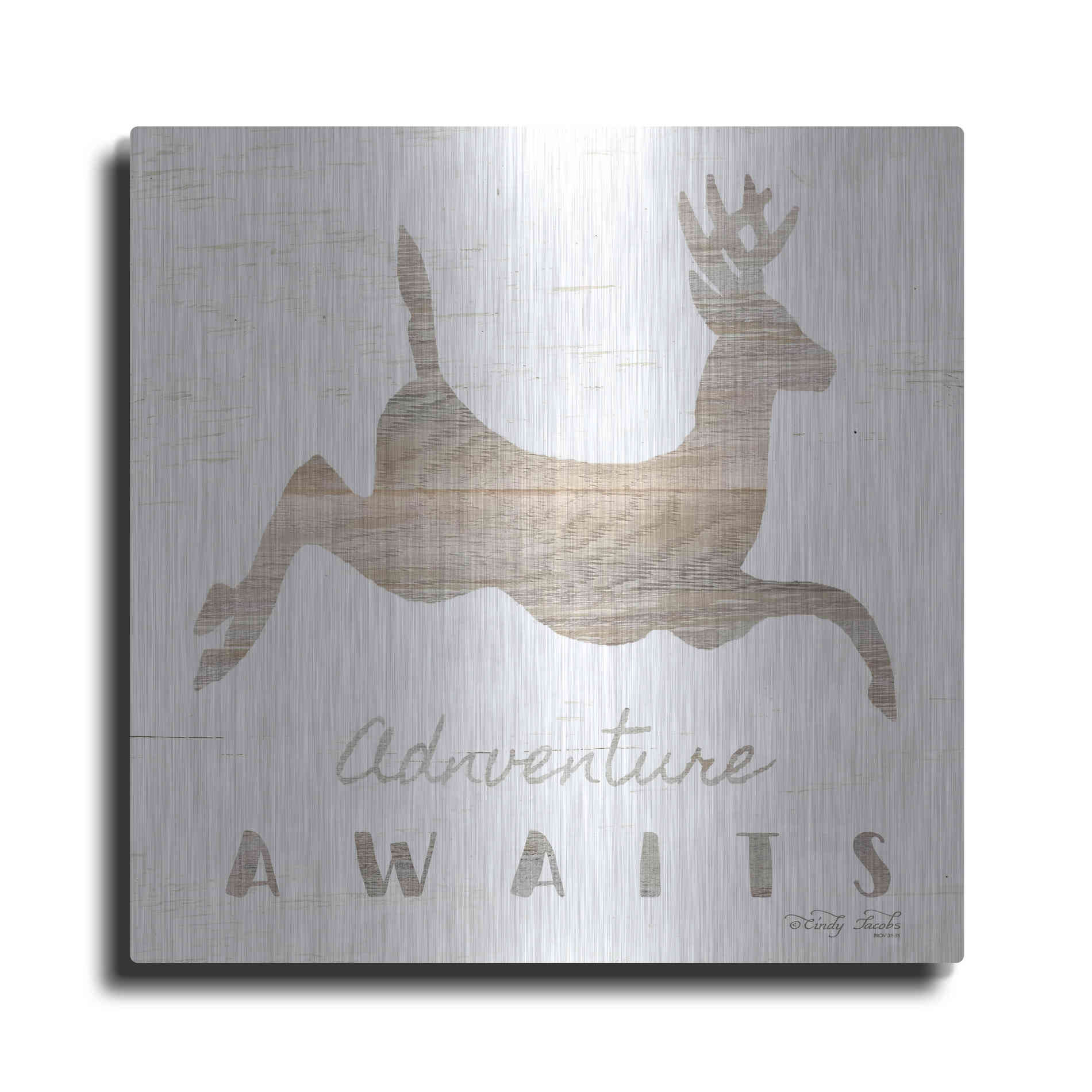 Luxe Metal Art 'Adventure Awaits Deer' by Cindy Jacobs, Metal Wall Art
