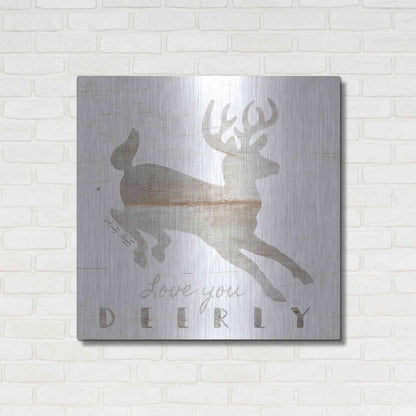 Luxe Metal Art 'Love You Deerly' by Cindy Jacobs, Metal Wall Art,36x36