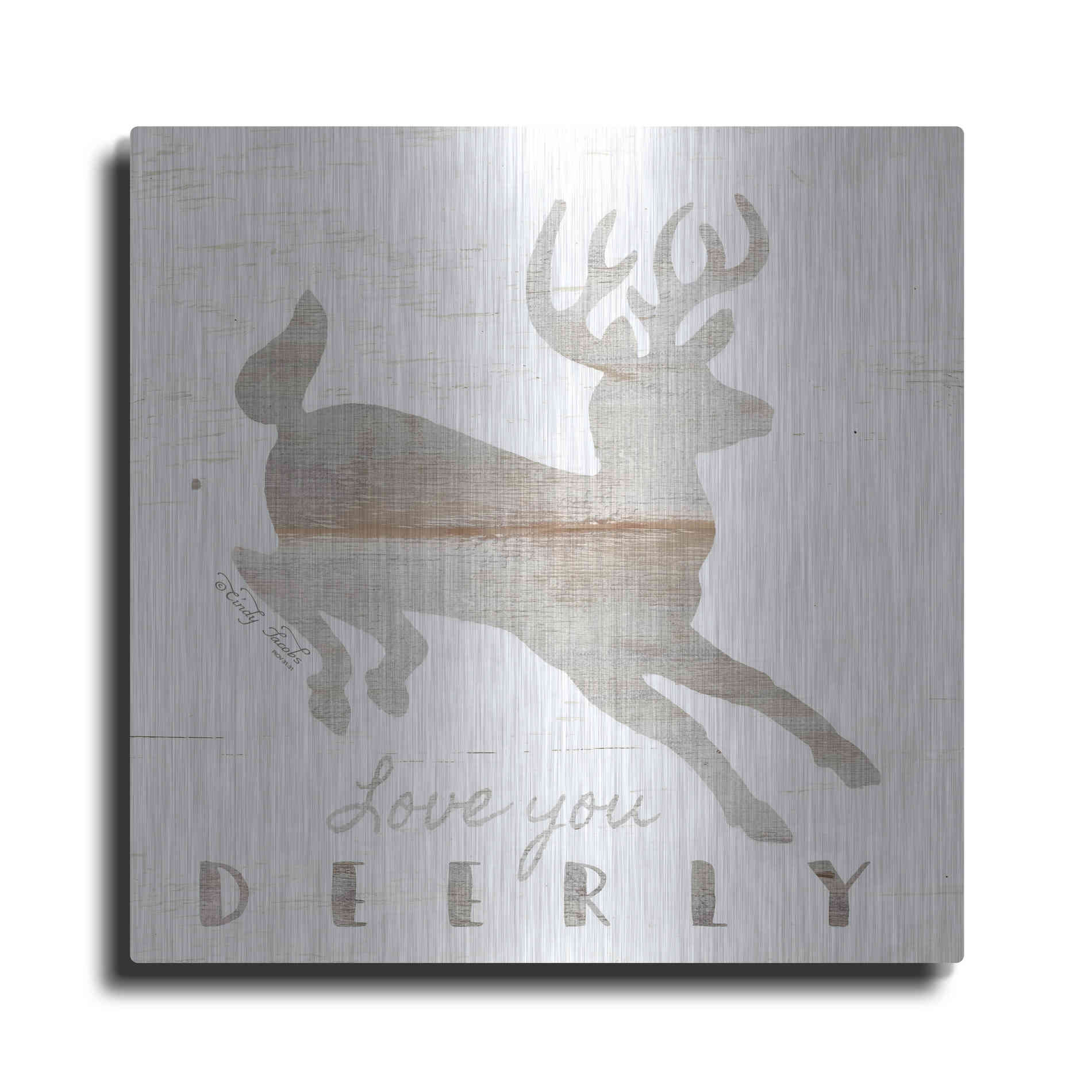 Luxe Metal Art 'Love You Deerly' by Cindy Jacobs, Metal Wall Art