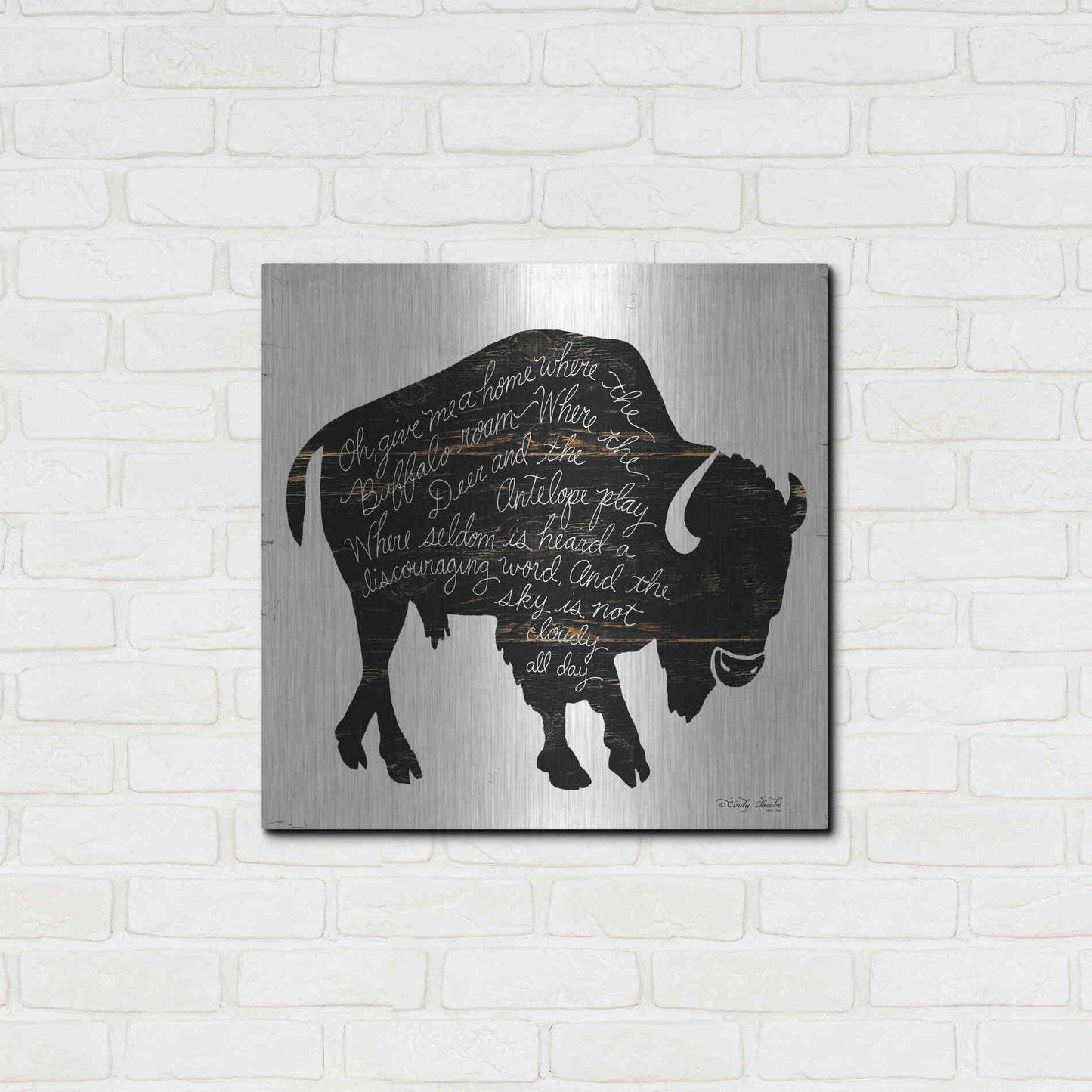 Luxe Metal Art 'Buffalo in Black' by Cindy Jacobs, Metal Wall Art,24x24