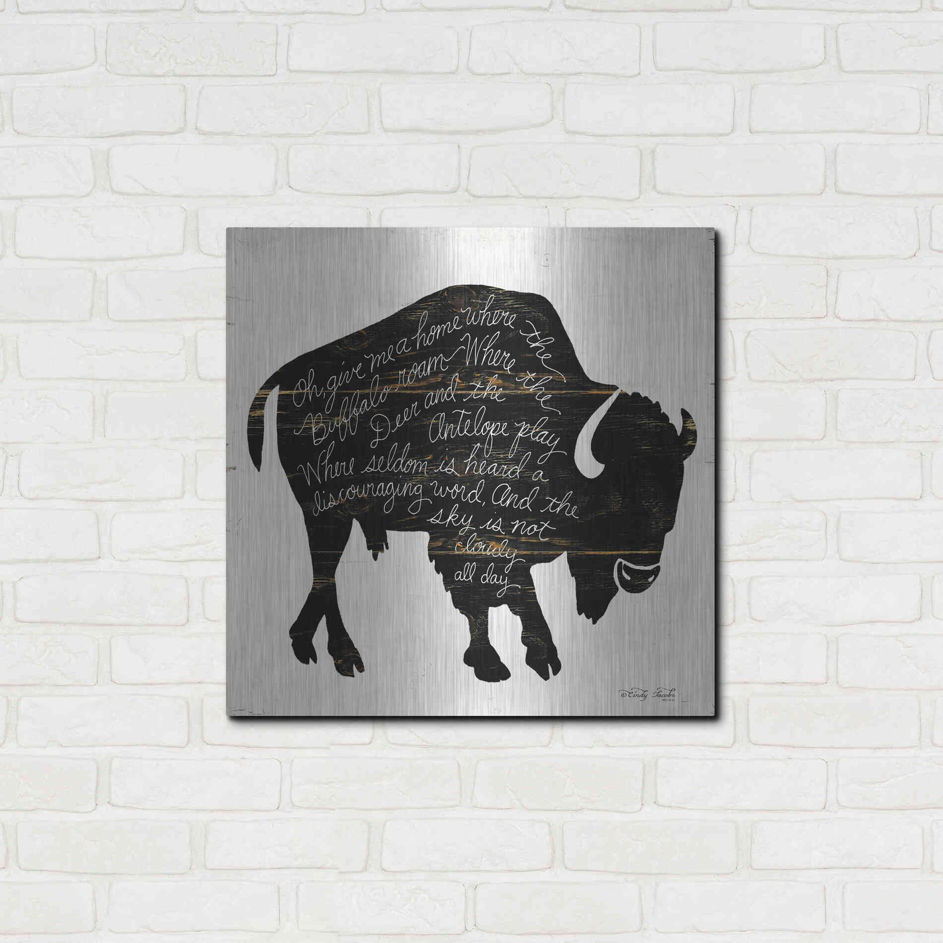 Luxe Metal Art 'Buffalo in Black' by Cindy Jacobs, Metal Wall Art,24x24