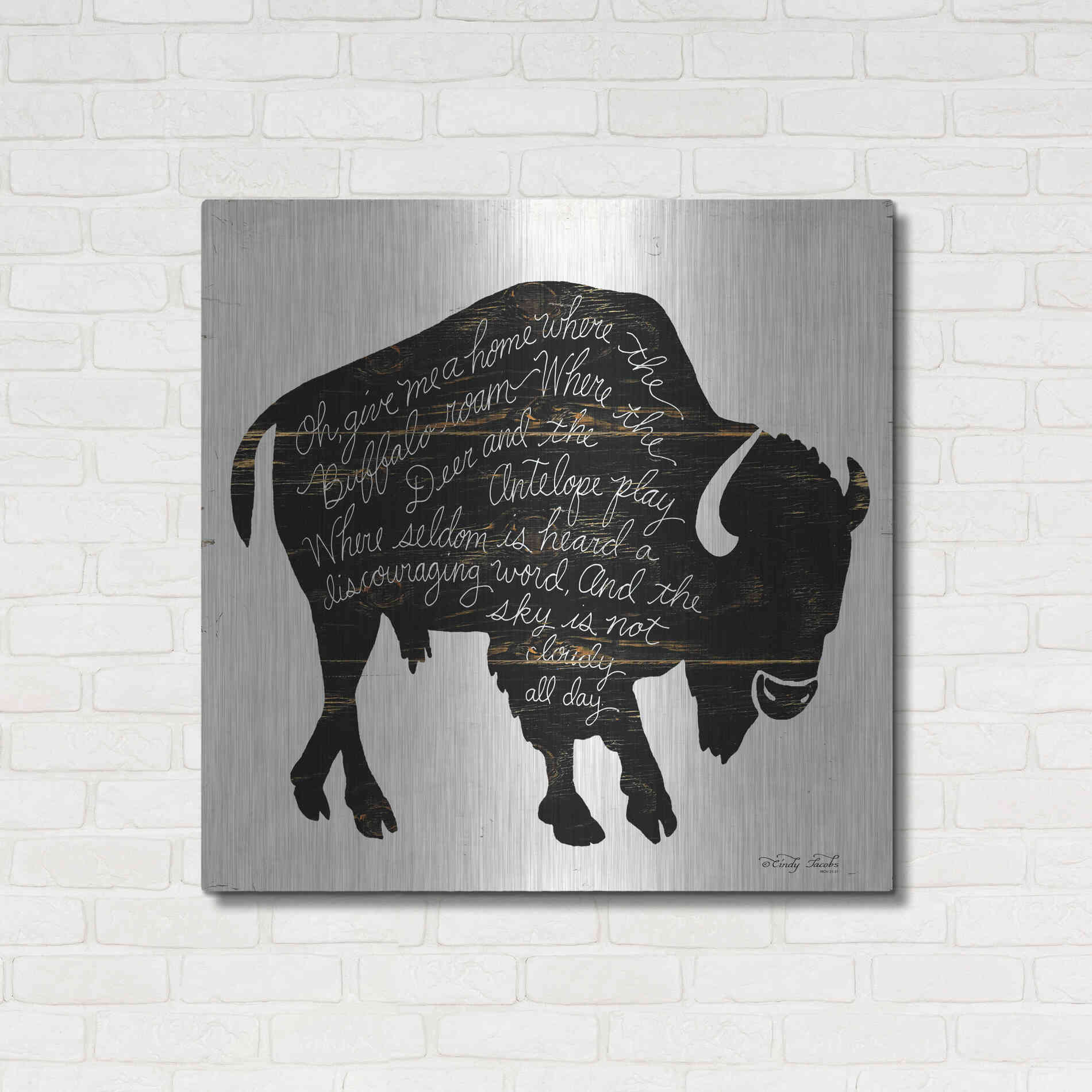 Luxe Metal Art 'Buffalo in Black' by Cindy Jacobs, Metal Wall Art,36x36
