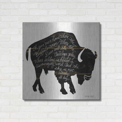 Luxe Metal Art 'Buffalo in Black' by Cindy Jacobs, Metal Wall Art,36x36