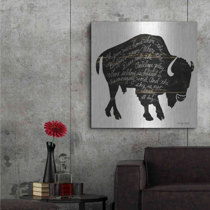 Luxe Metal Art 'Buffalo in Black' by Cindy Jacobs, Metal Wall Art,36x36