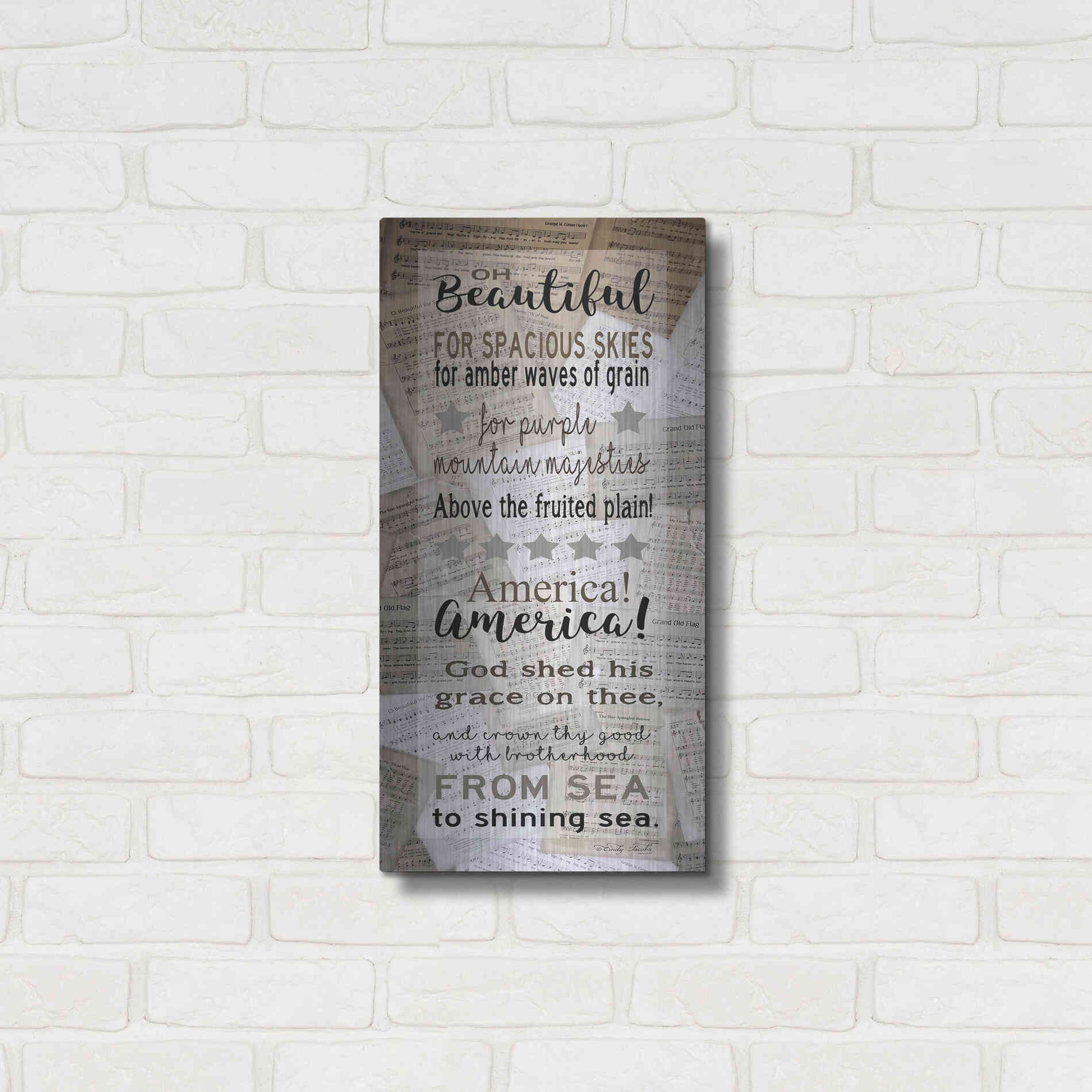 Luxe Metal Art 'Oh Beautiful' by Cindy Jacobs, Metal Wall Art,12x24