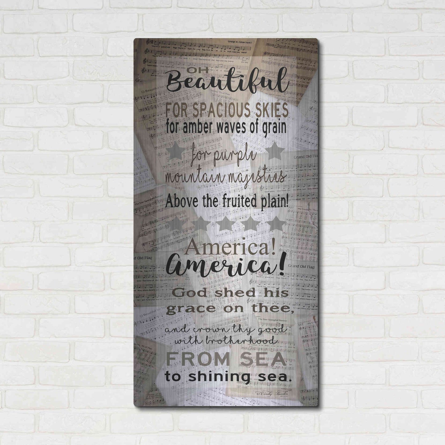 Luxe Metal Art 'Oh Beautiful' by Cindy Jacobs, Metal Wall Art,24x48