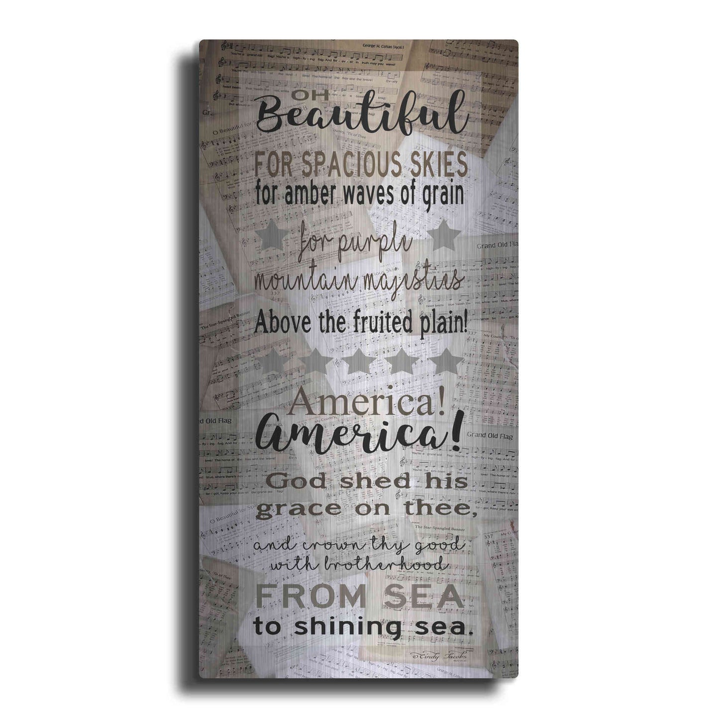 Luxe Metal Art 'Oh Beautiful' by Cindy Jacobs, Metal Wall Art