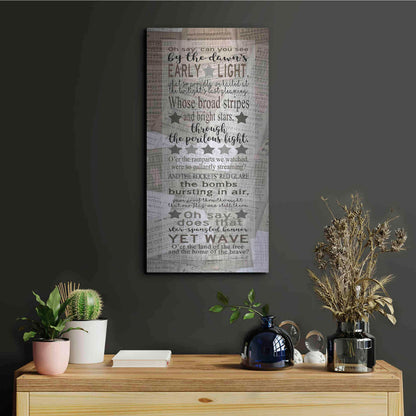 Luxe Metal Art 'Oh Say Can You See' by Cindy Jacobs, Metal Wall Art,12x24