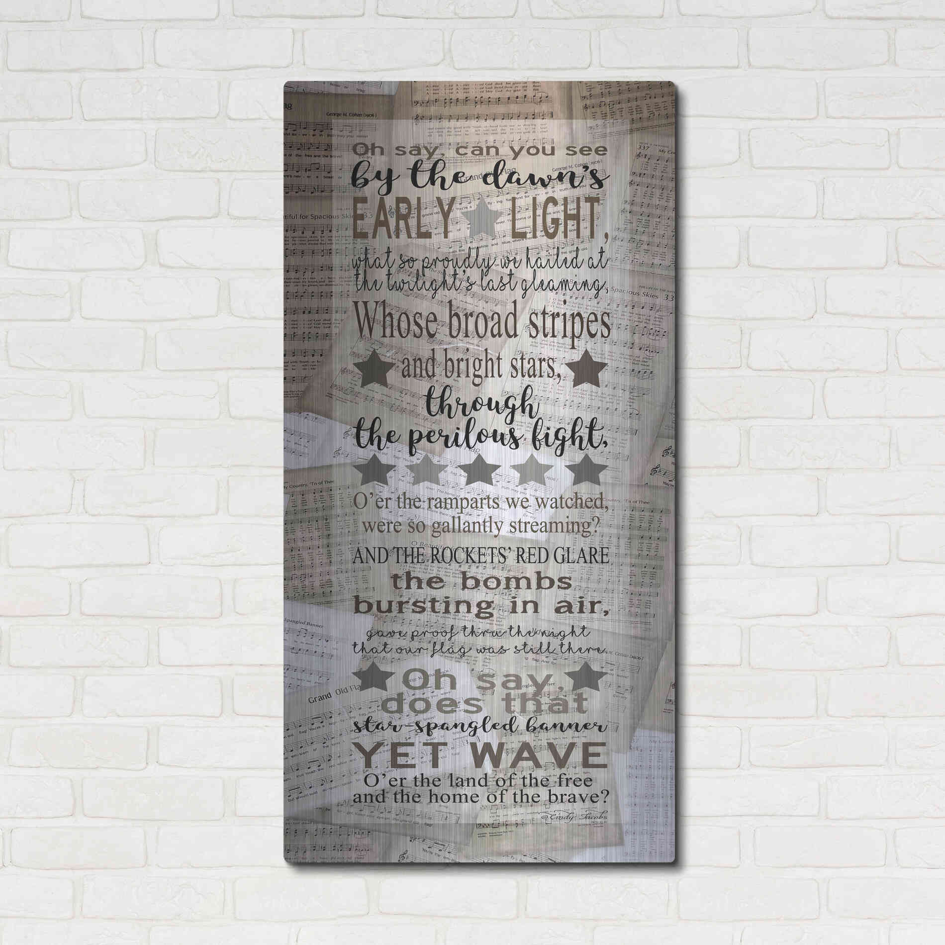 Luxe Metal Art 'Oh Say Can You See' by Cindy Jacobs, Metal Wall Art,24x48