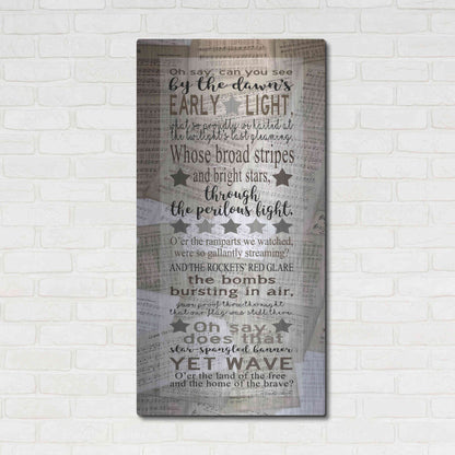 Luxe Metal Art 'Oh Say Can You See' by Cindy Jacobs, Metal Wall Art,24x48