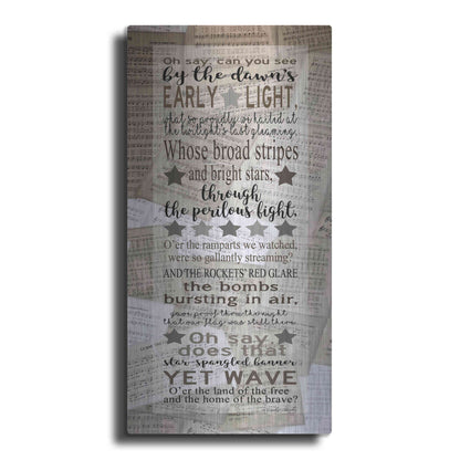 Luxe Metal Art 'Oh Say Can You See' by Cindy Jacobs, Metal Wall Art