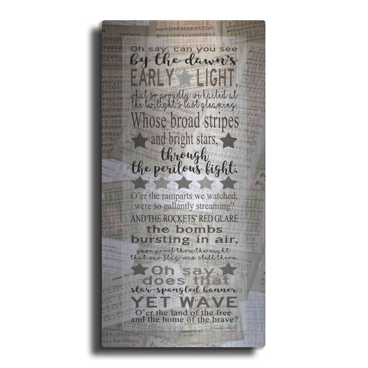Luxe Metal Art 'Oh Say Can You See' by Cindy Jacobs, Metal Wall Art