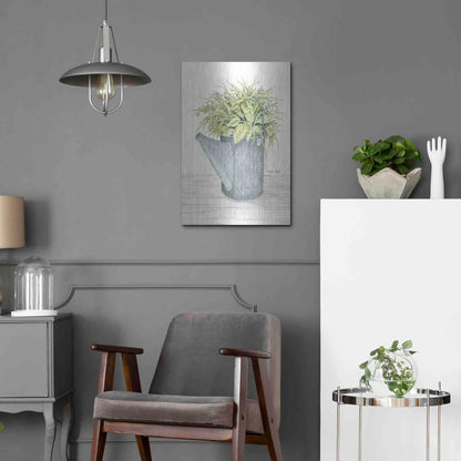 Luxe Metal Art 'Galvanized Watering Can' by Cindy Jacobs, Metal Wall Art,16x24