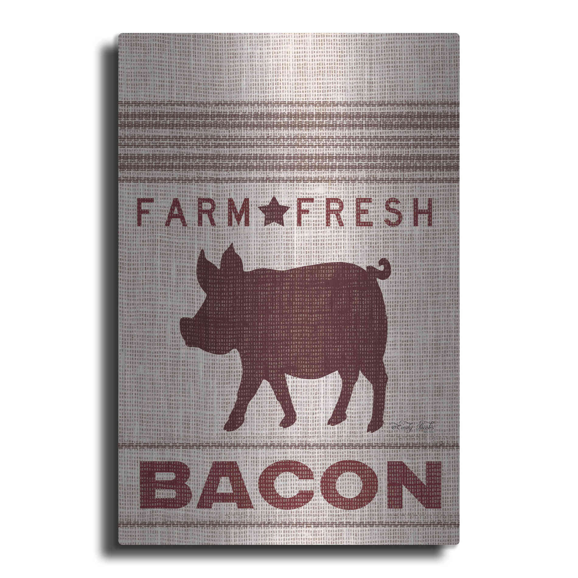 Luxe Metal Art 'Grain Sack Bacon' by Cindy Jacobs, Metal Wall Art