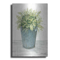 Luxe Metal Art 'Old Bucket of Greenery' by Cindy Jacobs, Metal Wall Art