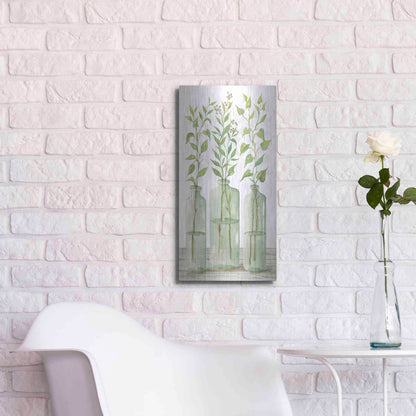 Luxe Metal Art 'Simple Leaves in Jar II' by Cindy Jacobs, Metal Wall Art,12x24