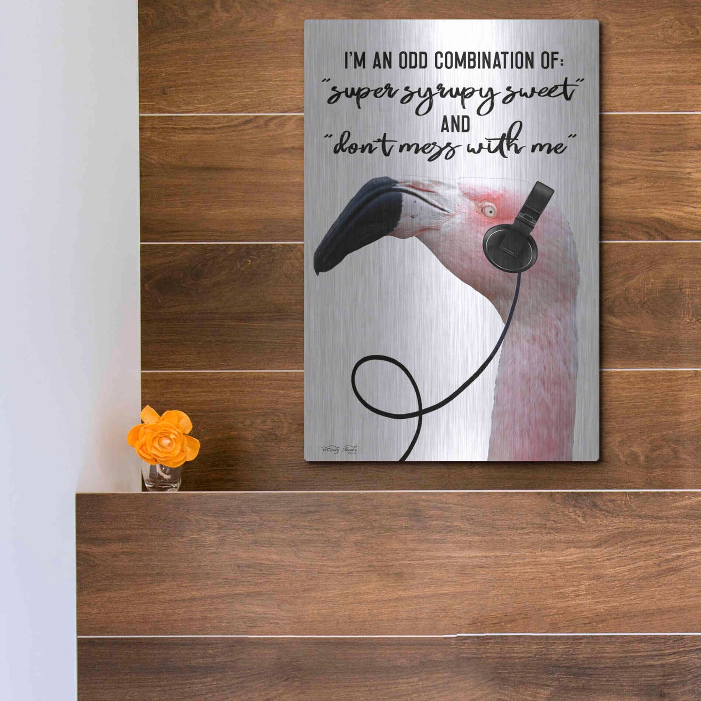 Luxe Metal Art 'I'm an Odd Combination' by Cindy Jacobs, Metal Wall Art,12x16