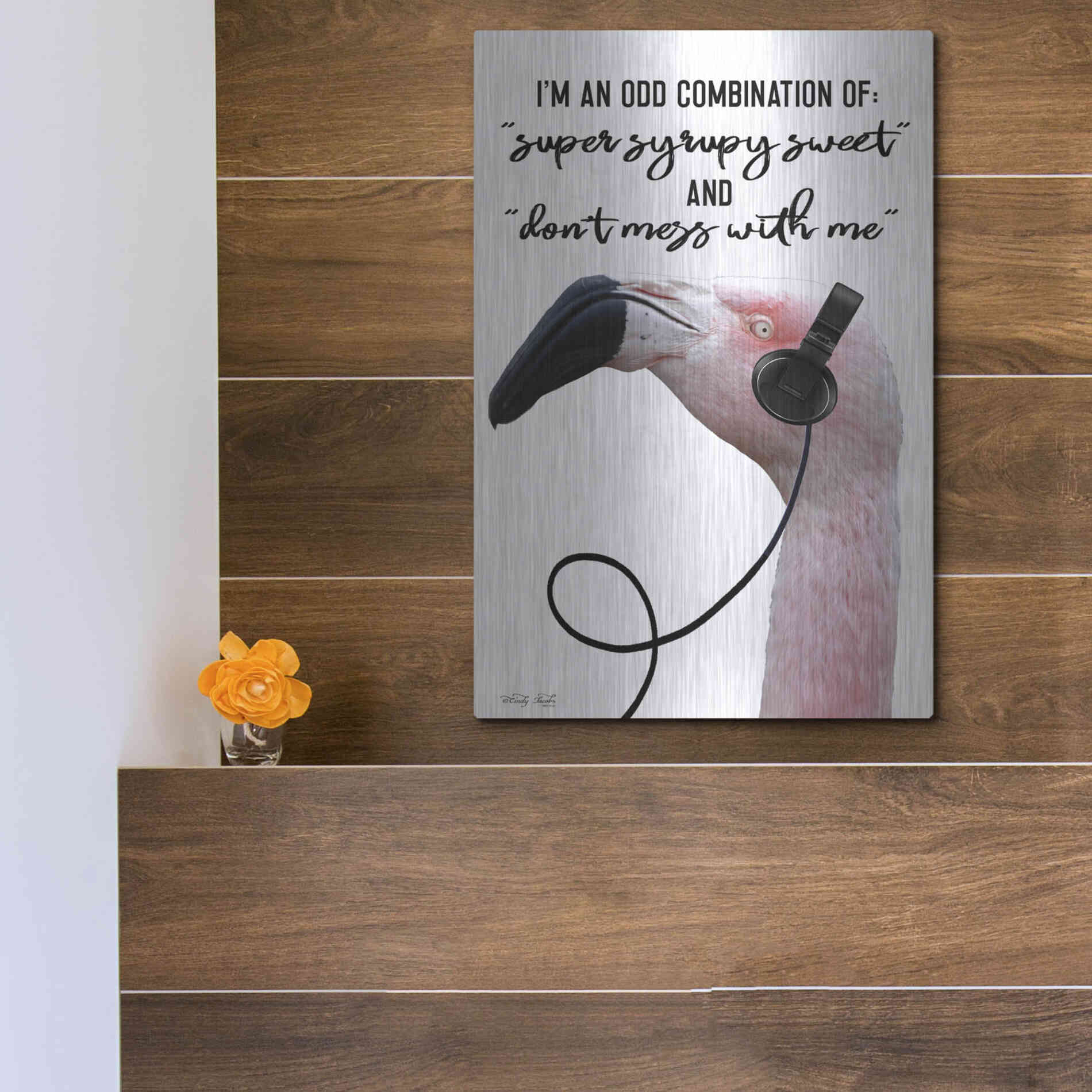 Luxe Metal Art 'I'm an Odd Combination' by Cindy Jacobs, Metal Wall Art,12x16