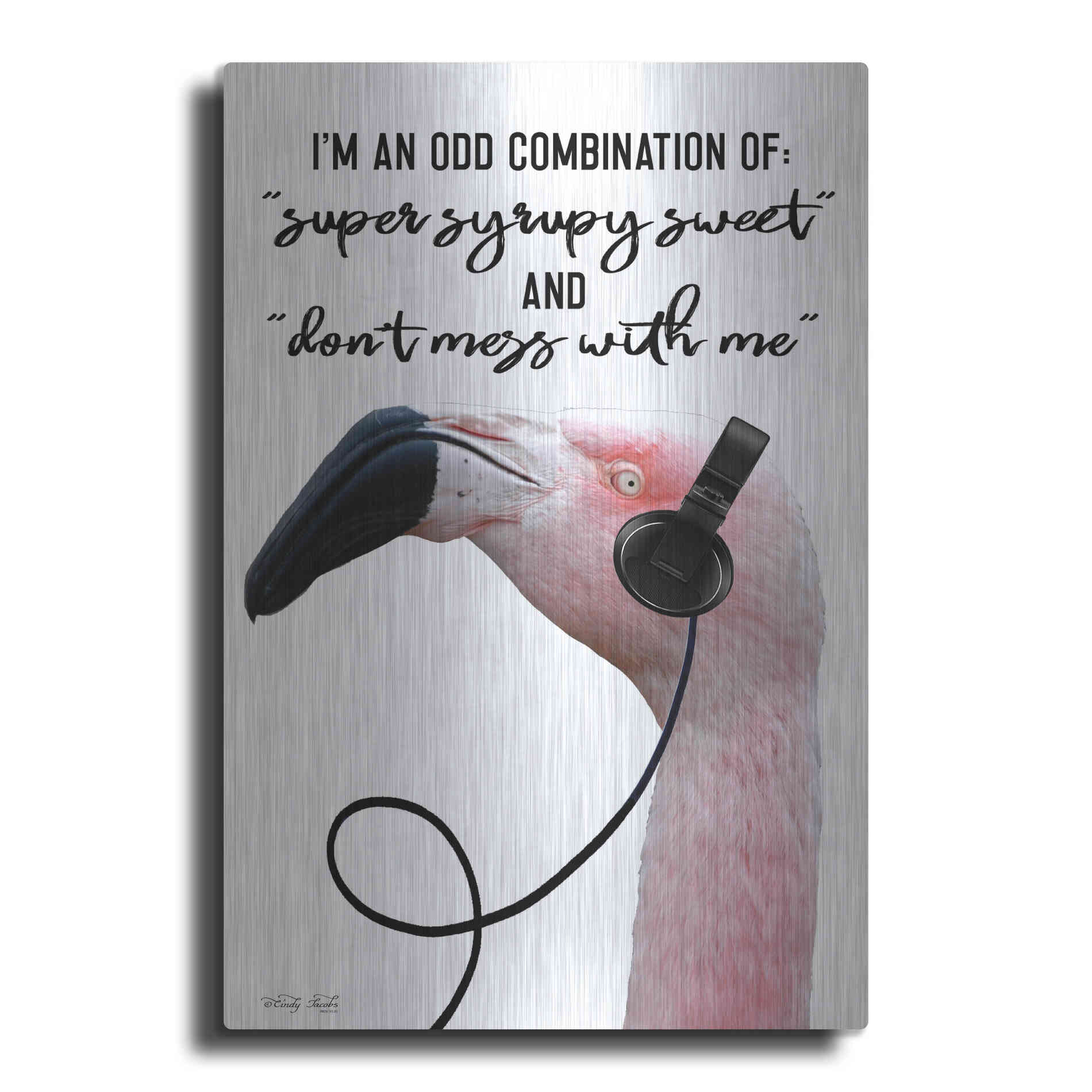 Luxe Metal Art 'I'm an Odd Combination' by Cindy Jacobs, Metal Wall Art