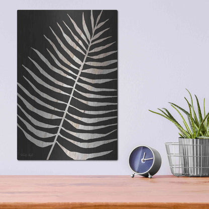Luxe Metal Art 'Palm Frond Wood Grain I' by Cindy Jacobs, Metal Wall Art,12x16