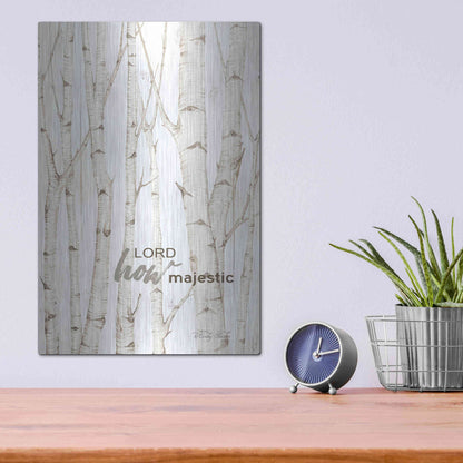 Luxe Metal Art 'Lord How Majestic' by Cindy Jacobs, Metal Wall Art,12x16