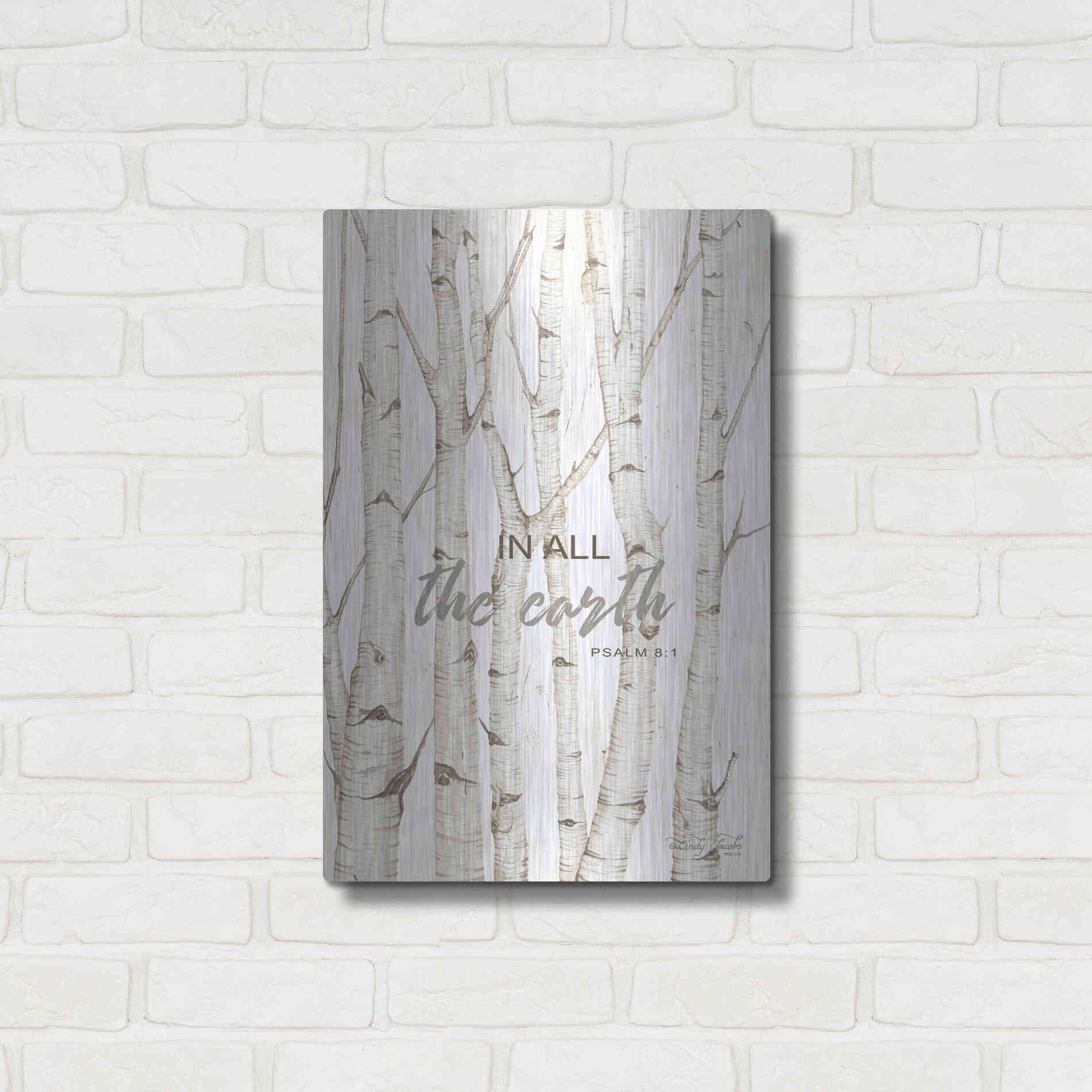 Luxe Metal Art 'In All the Earth' by Cindy Jacobs, Metal Wall Art,16x24