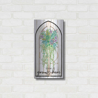 Luxe Metal Art 'Love Grows Here' by Cindy Jacobs, Metal Wall Art,12x24