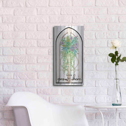 Luxe Metal Art 'Love Grows Here' by Cindy Jacobs, Metal Wall Art,12x24