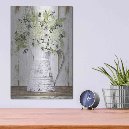 Luxe Metal Art 'Nest Galvanized Pitcher' by Cindy Jacobs, Metal Wall Art,12x16