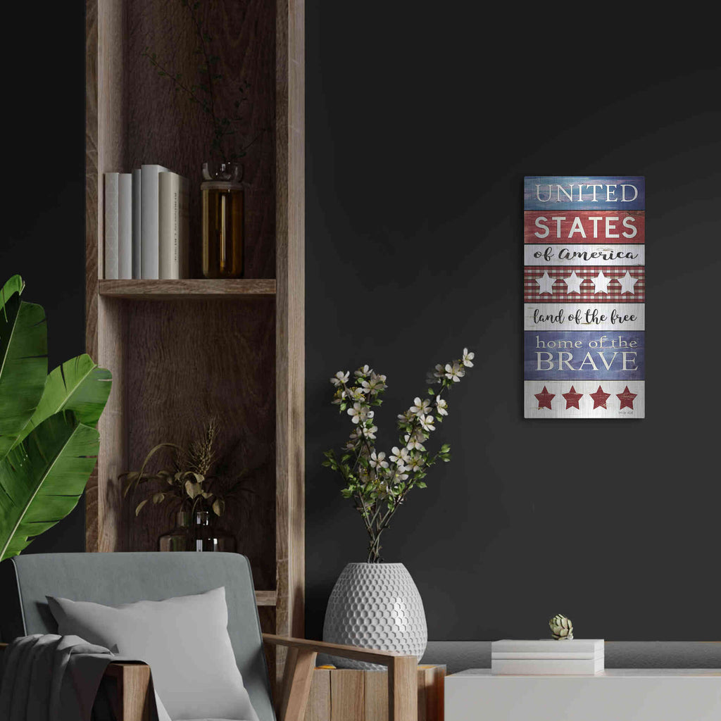 Luxe Metal Art 'United States Panel' by Cindy Jacobs, Metal Wall Art,12x24