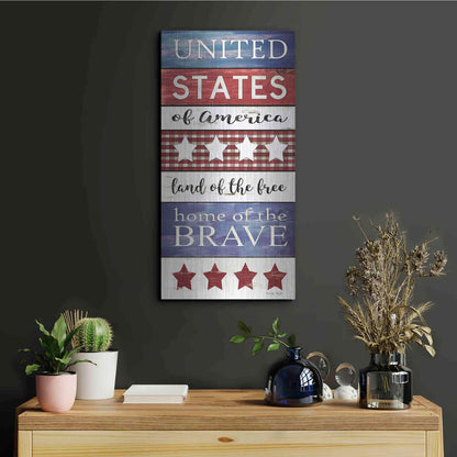 Luxe Metal Art 'United States Panel' by Cindy Jacobs, Metal Wall Art,12x24