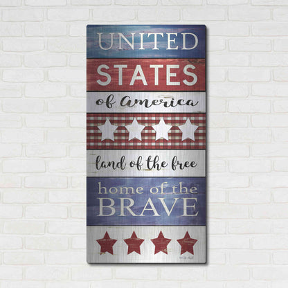 Luxe Metal Art 'United States Panel' by Cindy Jacobs, Metal Wall Art,24x48