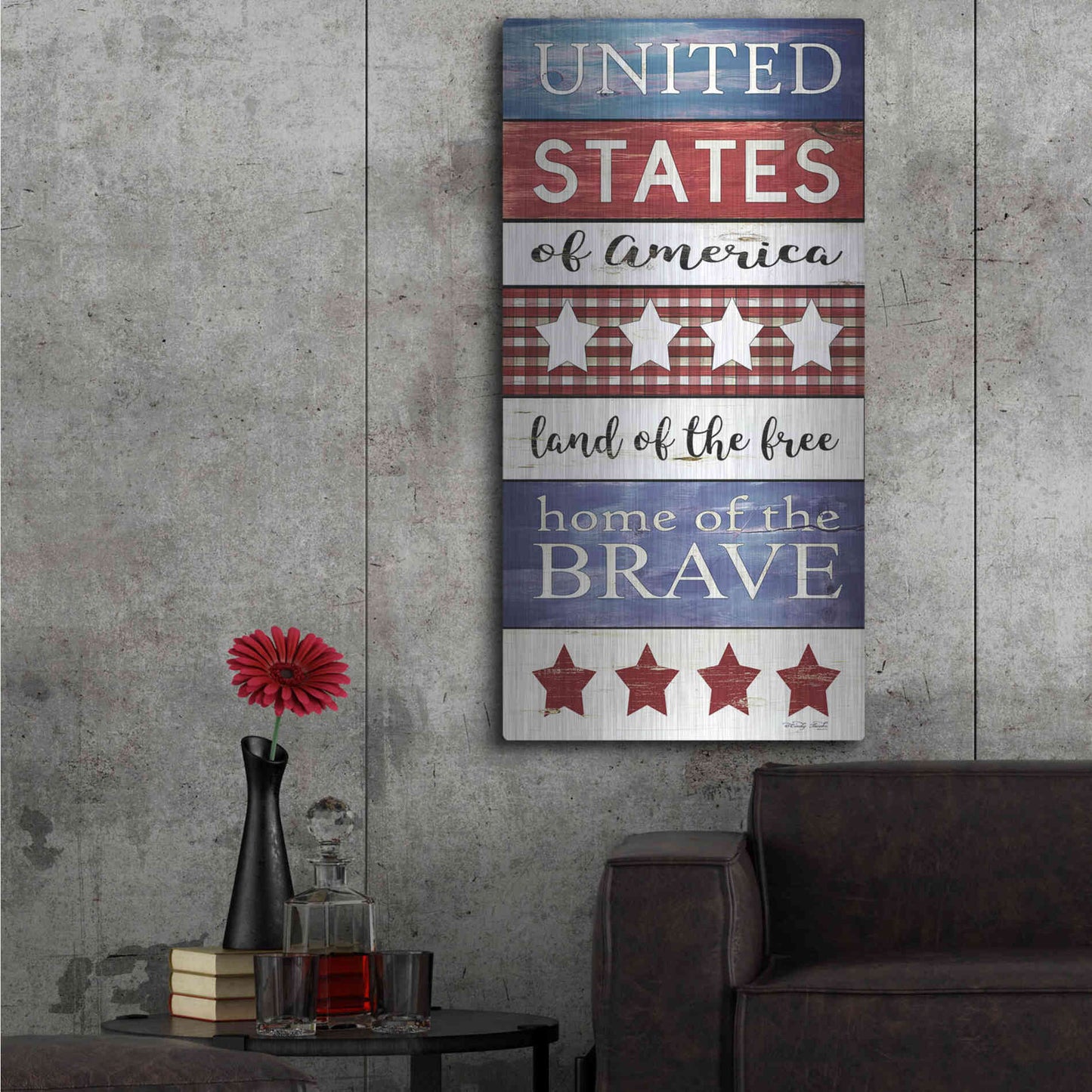 Luxe Metal Art 'United States Panel' by Cindy Jacobs, Metal Wall Art,24x48