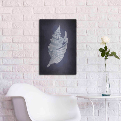 Luxe Metal Art 'Blue Seashell I' by Cindy Jacobs, Metal Wall Art,16x24