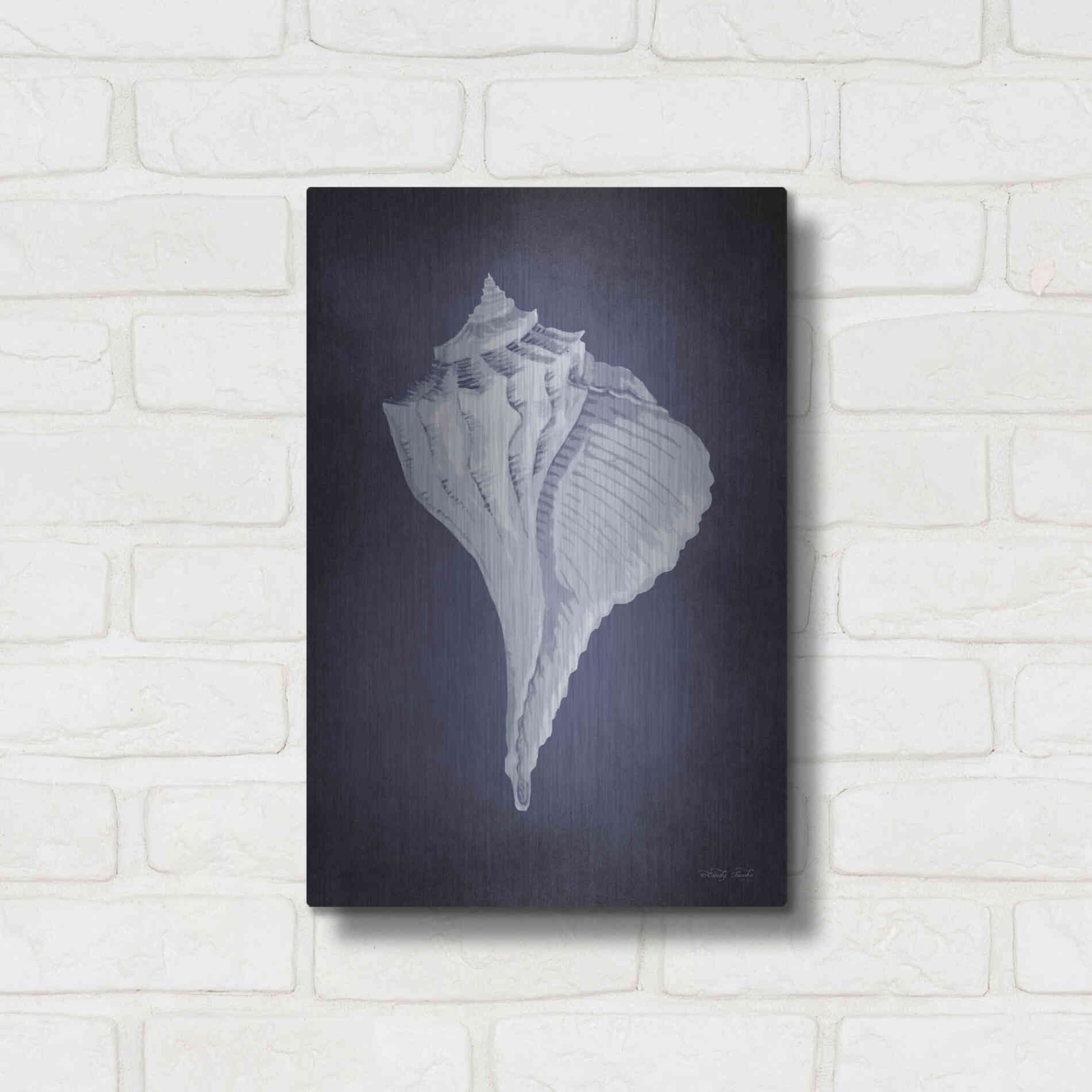 Luxe Metal Art 'Blue Seashell II' by Cindy Jacobs, Metal Wall Art,12x16