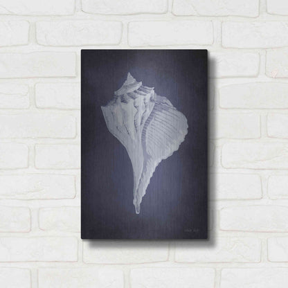 Luxe Metal Art 'Blue Seashell II' by Cindy Jacobs, Metal Wall Art,12x16