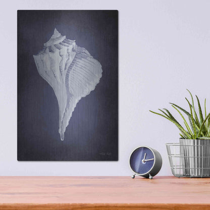 Luxe Metal Art 'Blue Seashell II' by Cindy Jacobs, Metal Wall Art,12x16