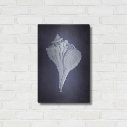 Luxe Metal Art 'Blue Seashell II' by Cindy Jacobs, Metal Wall Art,16x24
