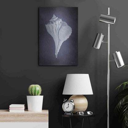 Luxe Metal Art 'Blue Seashell II' by Cindy Jacobs, Metal Wall Art,16x24