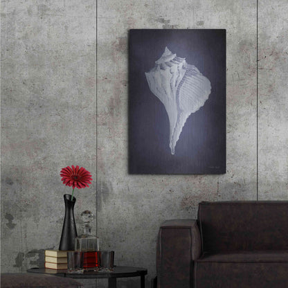 Luxe Metal Art 'Blue Seashell II' by Cindy Jacobs, Metal Wall Art,24x36