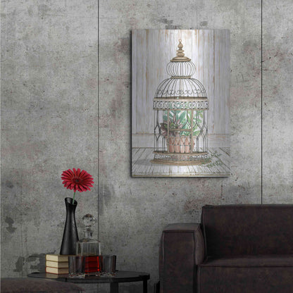 Luxe Metal Art 'Caged Beauty I' by Cindy Jacobs, Metal Wall Art,24x36