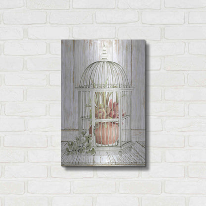 Luxe Metal Art 'Caged Beauty II' by Cindy Jacobs, Metal Wall Art,16x24