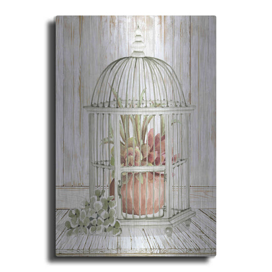 Luxe Metal Art 'Caged Beauty II' by Cindy Jacobs, Metal Wall Art