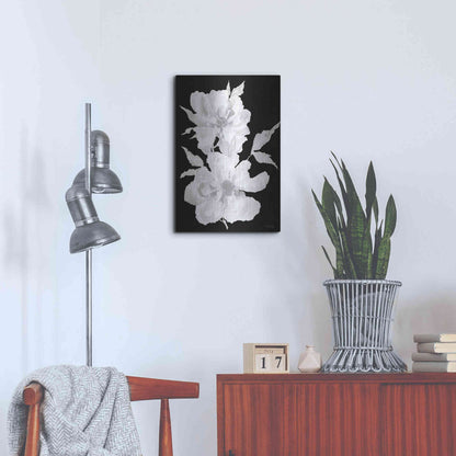 Luxe Metal Art 'Black & White Flowers I' by Cindy Jacobs, Metal Wall Art,16x24