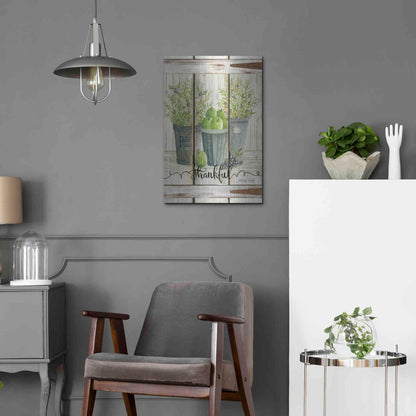 Luxe Metal Art 'Eucalyptus - Thankful' by Cindy Jacobs, Metal Wall Art,16x24